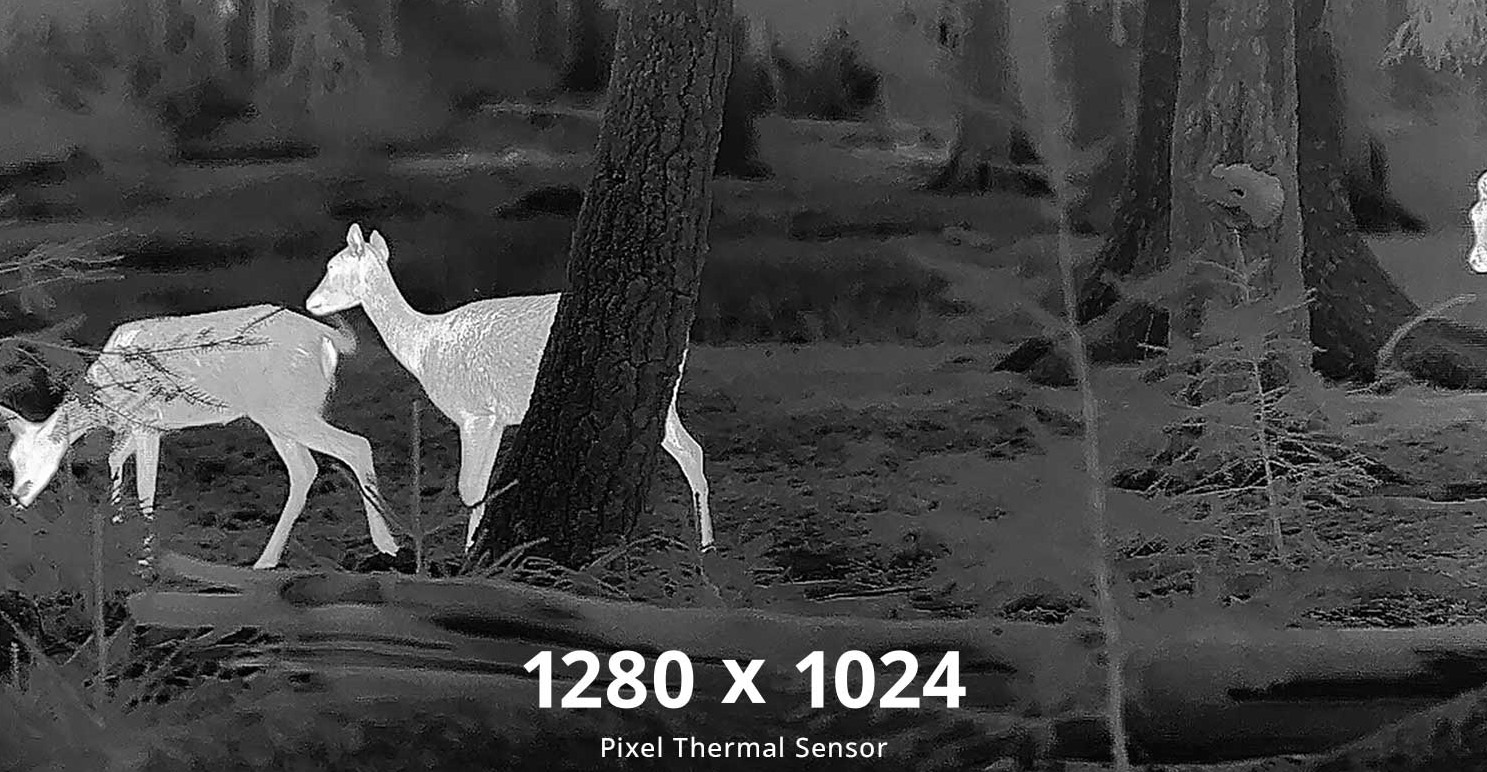 hikmicro STELLAR 3.0 termowzja